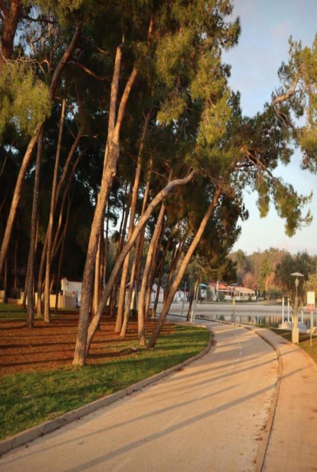 Splendid Ap Promenade 2 Pers *